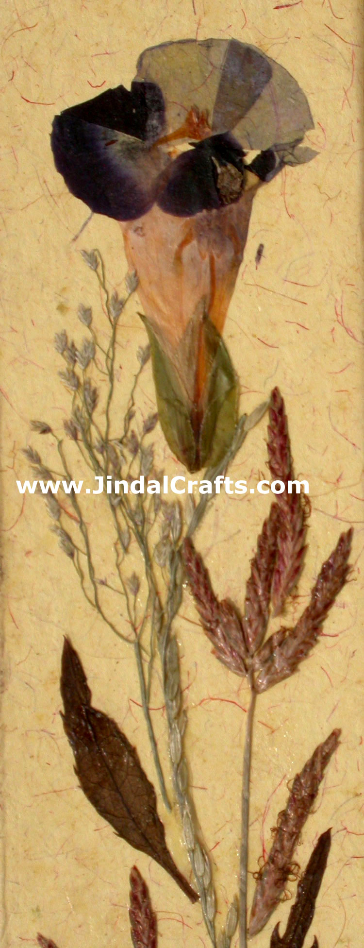 Hand Made Dried Flowers Decorative Photo Frame India