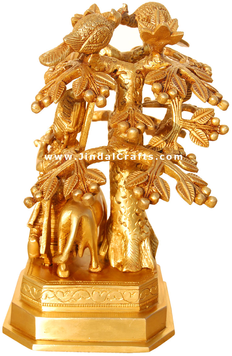 Kadam Tree