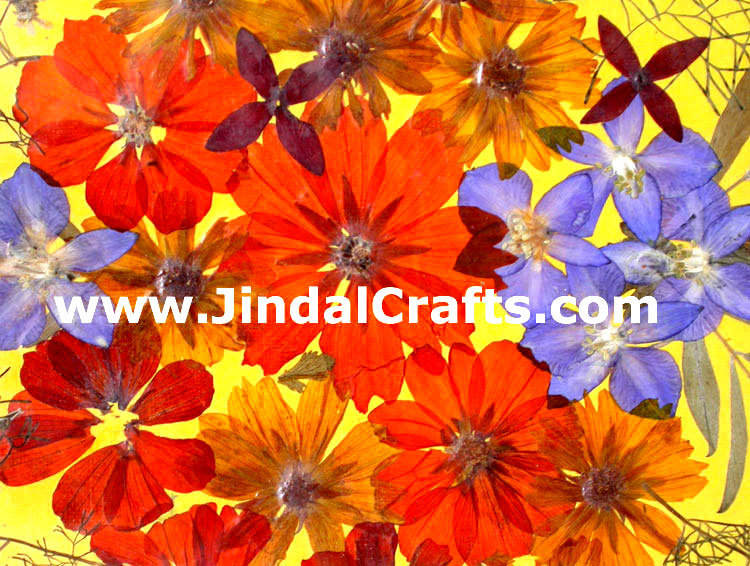 Hand Made Dried Flowers Decorative Frame India Art